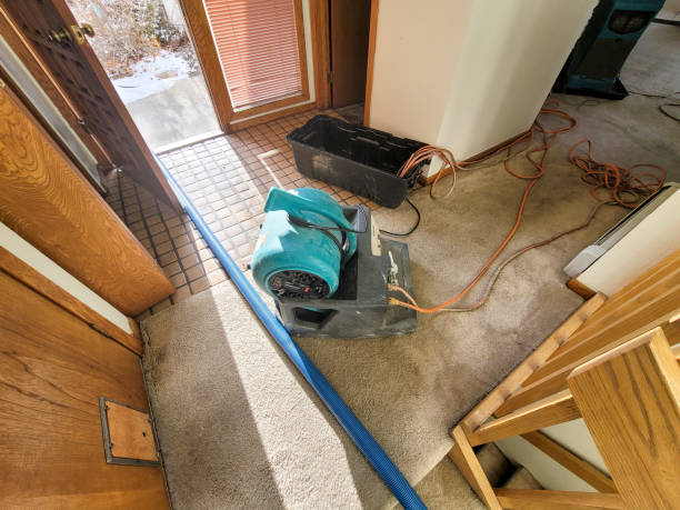 Best Ceiling water damage repair  in Scanlon, MN