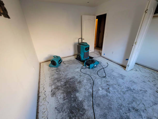 Best Water damage mitigation services  in Scanlon, MN