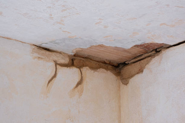 Best Commercial water damage restoration  in Scanlon, MN