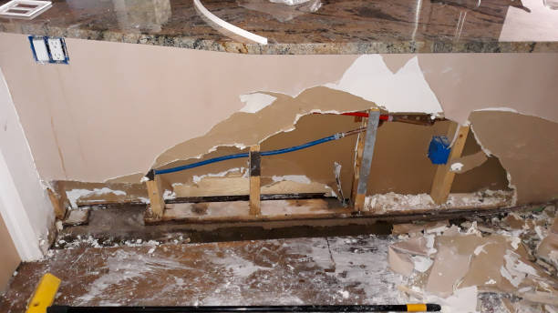 Best Water damage restoration near me  in Scanlon, MN
