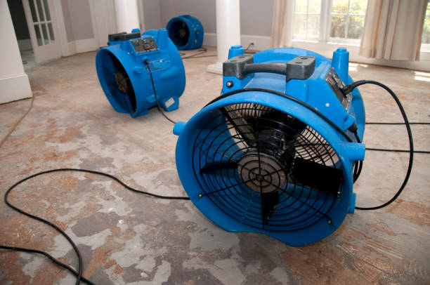 Best Water damage restoration near me  in Scanlon, MN