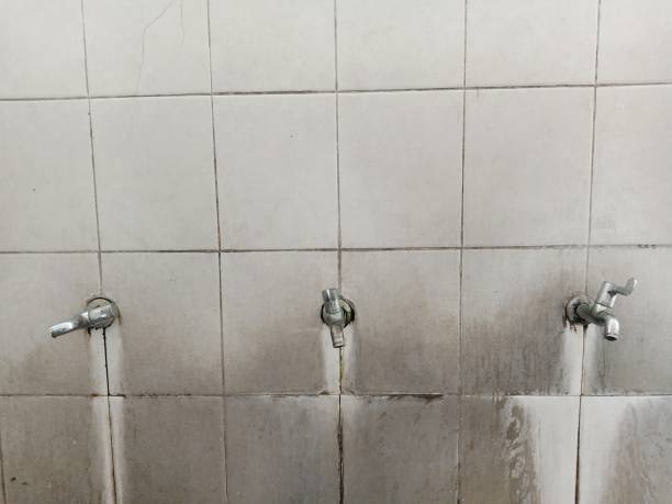 Best Emergency water extraction  in Scanlon, MN