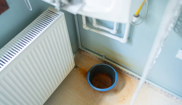  Scanlon, MN Water damage restoration Pros