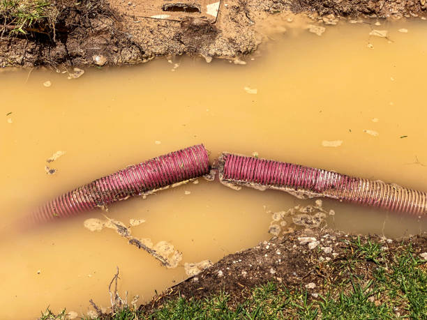Best Water damage restoration near me  in Scanlon, MN